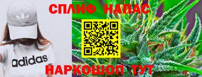 a pvp Ярославль