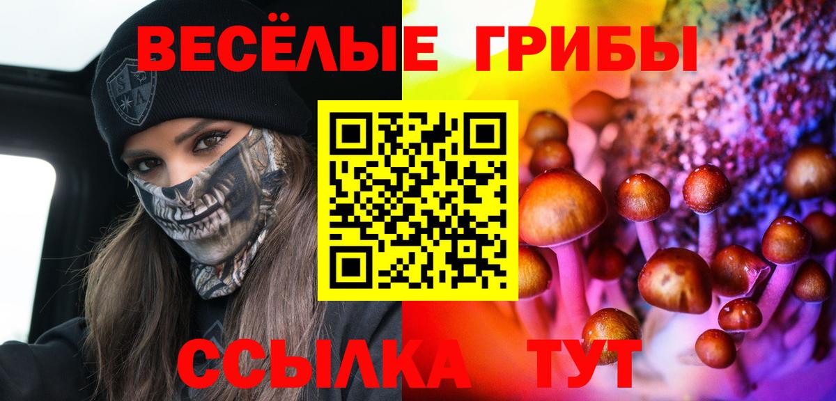 Бутират Будённовск